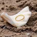 Zela Paved Gold Ring